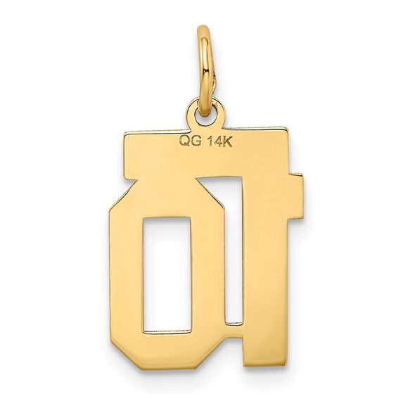 14k Yellow Gold, Jersey Collection, Small Number 10 Pendant - Picture 3 of 5